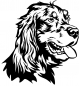 Preview: Aufkleber Irish Setter