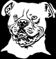 Preview: Aufkleber American Bulldog Kopf