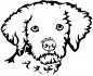 Preview: Aufkleber Lagotto Kopf