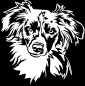 Preview: Aufkleber Miniature Australian Shepherd Kopf