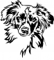 Preview: Aufkleber Miniature Australian Shepherd Kopf