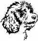 Preview: Aufkleber Spanischer Wasserhund Kopf