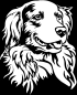 Preview: Aufkleber Duck-Tolling Retriever Kopf