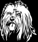 Preview: Aufkleber Tibet Terrier