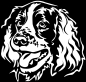 Preview: Aufkleber Springer Spaniel Kopf