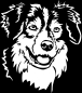 Preview: Aufkleber Australian Shepherd Kopf