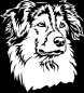 Preview: Aufkleber Australian Shepherd Kopf