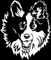 Preview: Aufkleber Border Collie