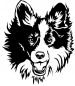 Preview: Aufkleber Border Collie