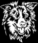 Preview: Aufkleber Border Collie