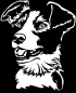 Preview: Aufkleber Border Collie