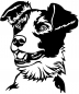 Preview: Aufkleber Border Collie