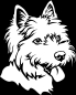 Preview: Aufkleber West Highland Terrier Kopf