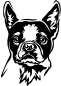 Preview: Aufkleber Boston Terrier Kopf