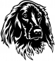 Preview: Aufkleber Irish Setter