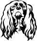 Preview: American Cocker Spaniel