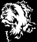 Preview: Aufkleber Norfolk Terrier Kopf