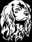 Preview: Aufkleber American Cocker Spaniel Kopf