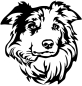 Preview: Aufkleber Border Collie