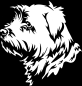 Preview: Aufkleber Norfolk Terrier Kopf