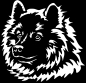 Preview: Aufkleber Eurasier Kopf