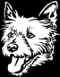 Preview: Aufkleber Norwich Terrier Kopf