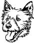 Preview: Aufkleber Norwich Terrier Kopf