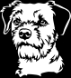 Preview: Aufkleber Border Terrier