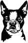 Preview: Aufkleber Boston Terrier Kopf