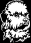 Preview: Aufkleber Dandie Dinmont Terrier Kopf