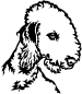 Preview: Aufkleber Bedlington Terrier Kopf