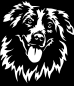 Preview: Aufkleber Australian Shepherd Kopf