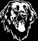 Preview: Aufkleber Flat-coated Retriever Kopf