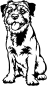 Preview: Aufkleber Border Terrier