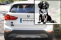 Preview: Autoaufkleber "Münsterländer" Kontur