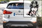 Preview: Autoaufkleber "Cavalier King Charles Spaniel" Kontur