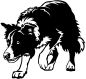 Preview: Aufkleber Border Collie