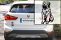 Preview: Autoaufkleber "Briard" Kontur