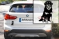 Preview: Autoaufkleber "Hovawart" Kontur
