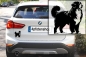 Preview: Autoaufkleber "Berner Sennenhund" Kontur