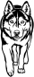 Preview: Aufkleber Husky