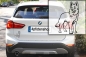 Preview: Autoaufkleber "Schweizer Schäferhund" Kontur