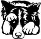 Preview: Aufkleber Border Collie