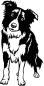 Preview: Aufkleber Border Collie