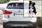 Preview: Autoaufkleber "Border Collie" Kontur