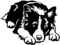 Preview: Aufkleber Border Collie