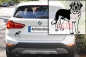 Preview: Autoaufkleber "Bernhardiner" Kontur
