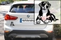 Preview: Autoaufkleber "Großer Schweizer Sennenhund" Kontur