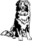 Preview: Aufkleber Australian Shepherd
