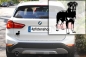 Preview: Autoaufkleber "Rottweiler" Kontur